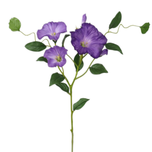 Vara de Ipomea Morning Glory 60 cm uc.12 Púrpura