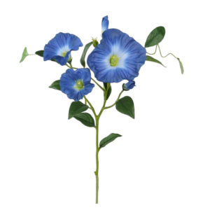Vara de Ipomea Morning Glory 60 cm uc.12 Azul