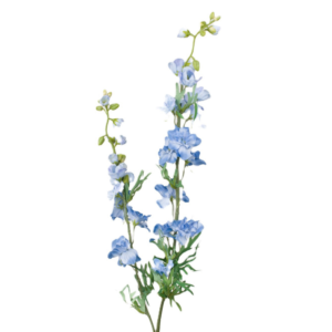 Vara Doble de Delphinium 98 cm uc.12 Azul