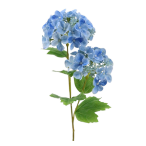 Vara Hydrangea con hoja 48 cm uc.24 Azul