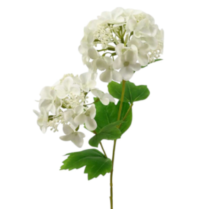 Vara Hydrangea con hoja 48 cm uc.24 Blanco
