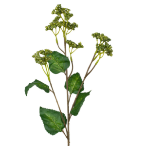 Vara Hedera 66 cm uc.12 Verde