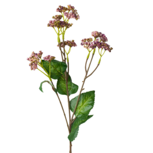 Vara Hedera 66 cm uc.12 Púrpura