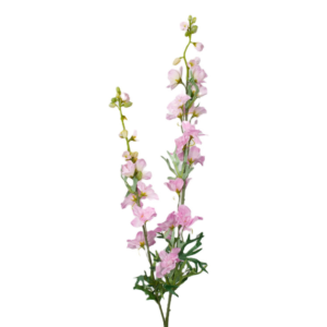 Vara Doble de Delphinium 98 cm uc.12 Rosa
