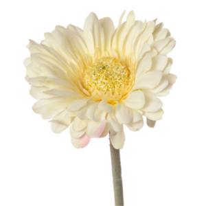 Vara Gerbera tallo floqueado 42 cm uc.36 Crema