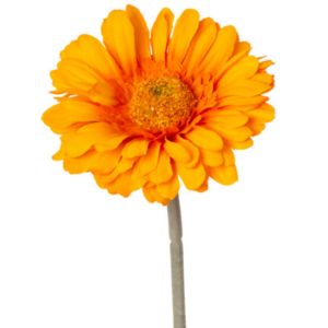 Vara Gerbera tallo floqueado 42 cm uc.36 Naranja