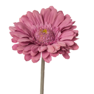 Vara Gerbera tallo floqueado 42 cm uc.36 Púrpura