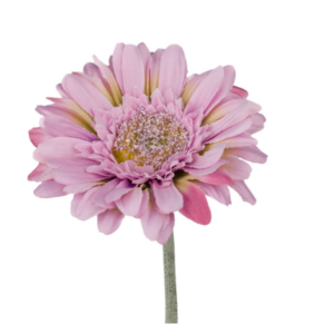Vara Gerbera mini 45 cm uc.48 Lavanda