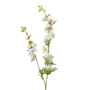 Vara Doble de Delphinium 98 cm uc.12 Crema