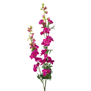 Vara Doble de Delphinium 98 cm uc.12 Púrpura