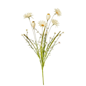 Relleno Margarita y Vainas 53 cm uc.36 Crema y Blanco