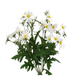 Relleno Margarita 9 cabezas 40 cm uc.12 Blanco