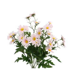Relleno Margarita 9 cabezas 40 cm uc.12 Rosa