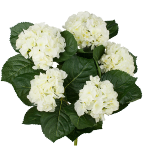 Mata Hydrangea 55 cm uc.6 Crema y Amarillo