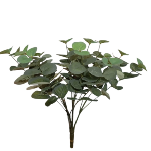 Relleno Eucalipto 30 cm uc.24 Verde