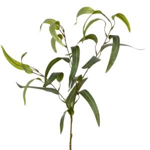 Relleno Eucalipto Escarchado 90 cm uc.60 Natural