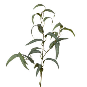 Relleno Eucalipto Escarchado 90 cm uc.60 Verde