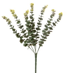 Relleno Eucalipto Gunni 40 cm uc.36