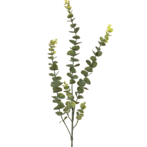 Relleno Eucalipto Gunni 77 cm uc.48