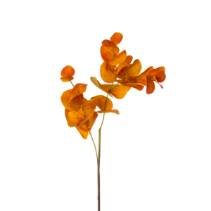 Relleno Eucalipto Rama 80 cm uc.36 Naranja