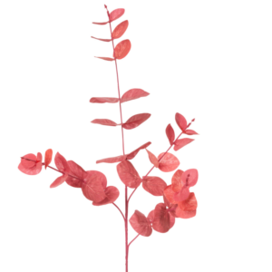 Relleno Eucalipto 4 ramas 63 cm uc.24 Rosa