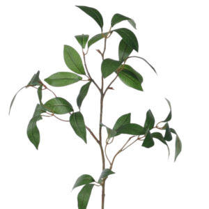Relleno Vara Ficus Spray 60 cm uc.24