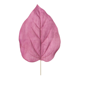 Relleno Hoja Anthurium 54 uc.12 Rosa
