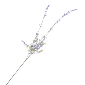 Rama Lavanda 60 cm uc.48