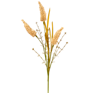 Relleno Astilbe 54 cm uc.36 Crema
